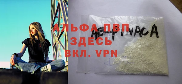 индика Каменногорск