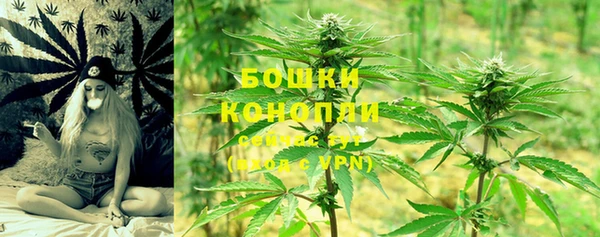 МДПВ Елабуга
