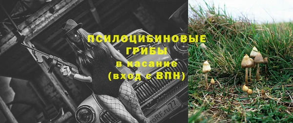 марки lsd Абаза