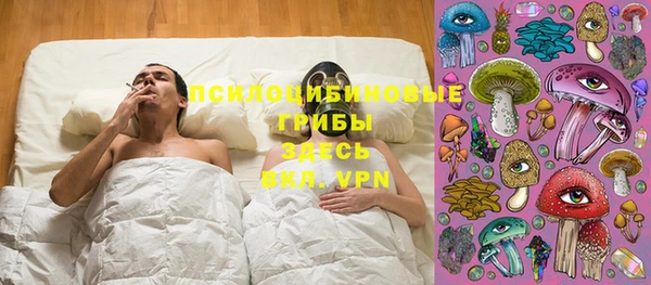 индика Алексин